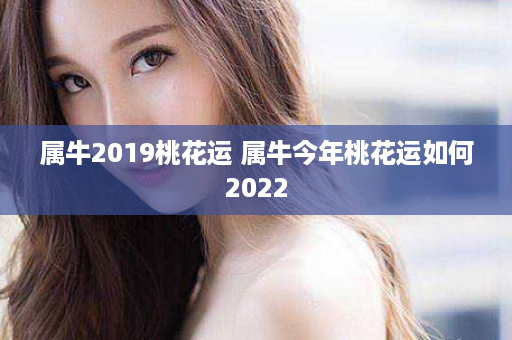 属牛2019桃花运 属牛今年桃花运如何2022