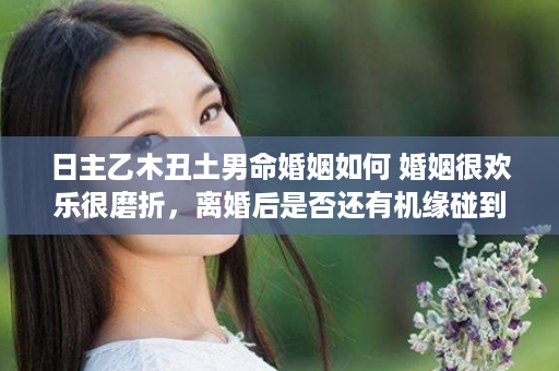 日主乙木丑土男命婚姻如何 婚姻很欢乐很磨折，离婚后是否还有机缘碰到一个好汉子？