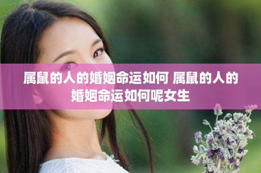 属鼠的人的婚姻命运如何 属鼠的人的婚姻命运如何呢女生