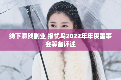 线下赚钱副业 报忧鸟2022年年度董事会筹备评述