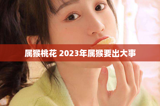 属猴桃花 2023年属猴要出大事