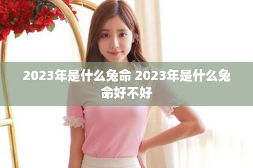 2023年是什么兔命 2023年是什么兔命好不好