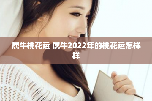 属牛桃花运 属牛2022年的桃花运怎样样