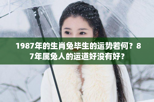  1987年的生肖兔毕生的运势若何？87年属兔人的运道好没有好？