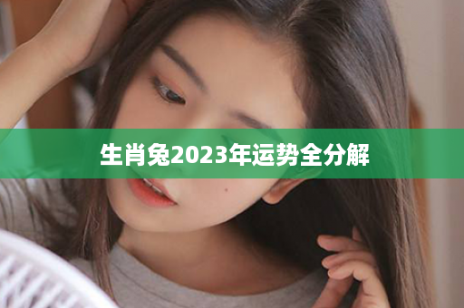  生肖兔2023年运势全分解