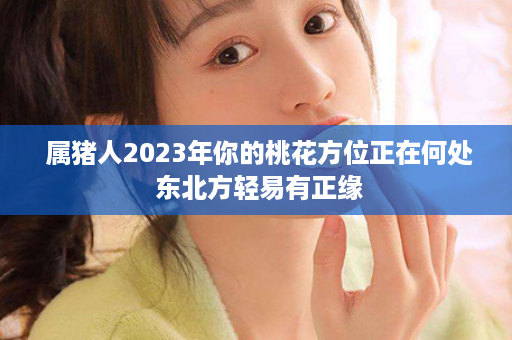  属猪人2023年你的桃花方位正在何处 东北方轻易有正缘